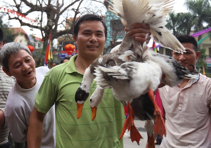 Người dân hò hét bắt vịt ở hội làng Vạn Phúc